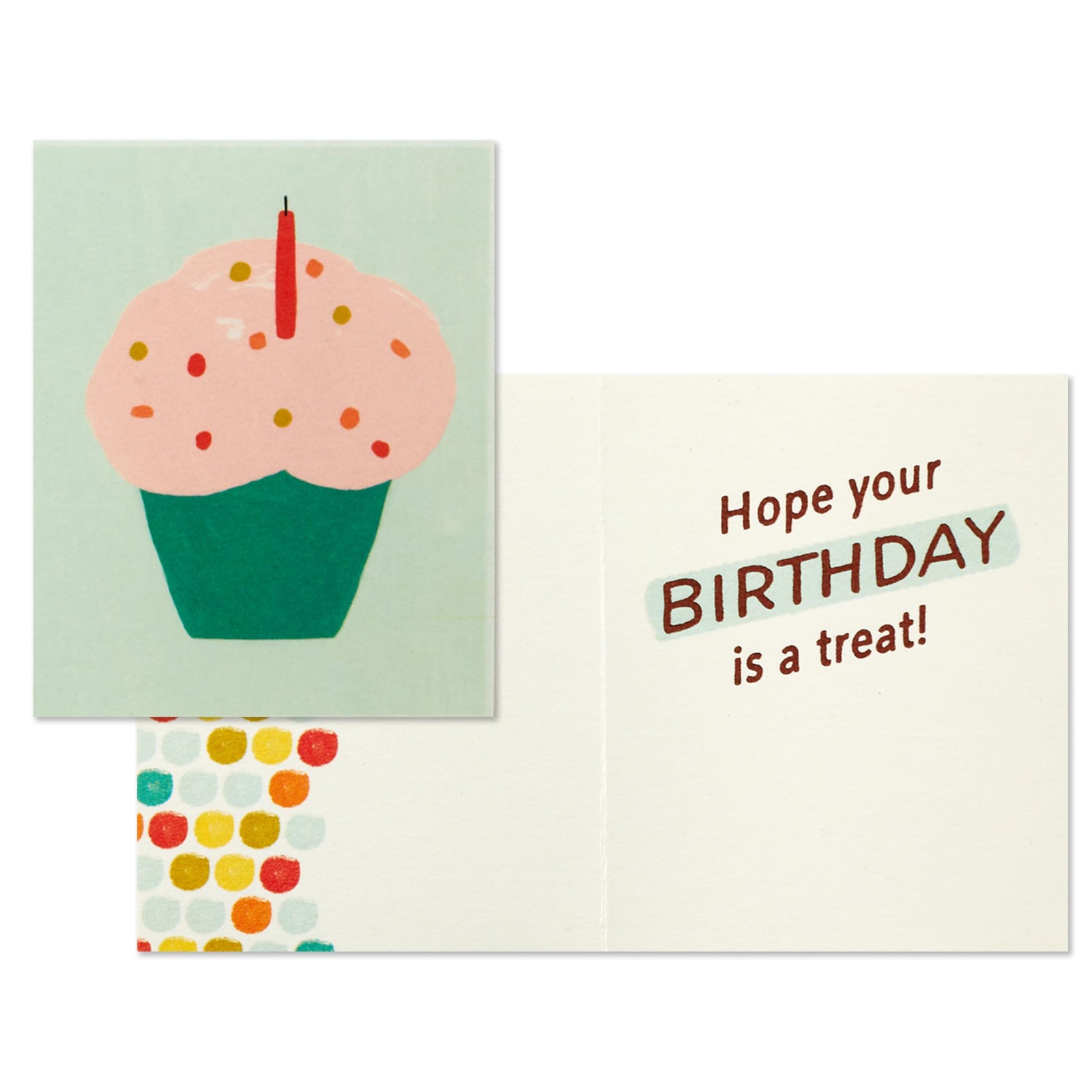 Hallmark Birthday Card (Puppy in a Party Hat) 5×7.2 inches, Green