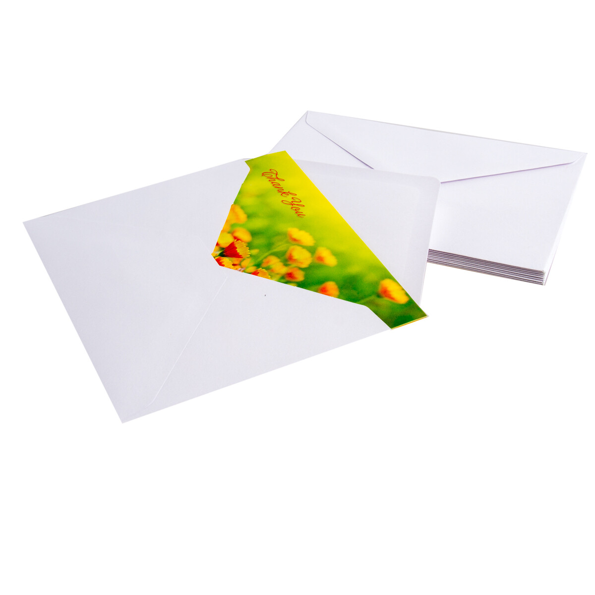60ct Blank Thank You Gift Cards & Envelopes By Designer Greetings Assorted Notes
