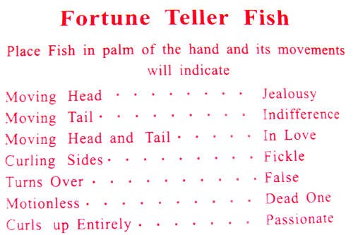 12 Fortune Telling Fish – Miracle Teller Palm Reading – gag party toy gifts