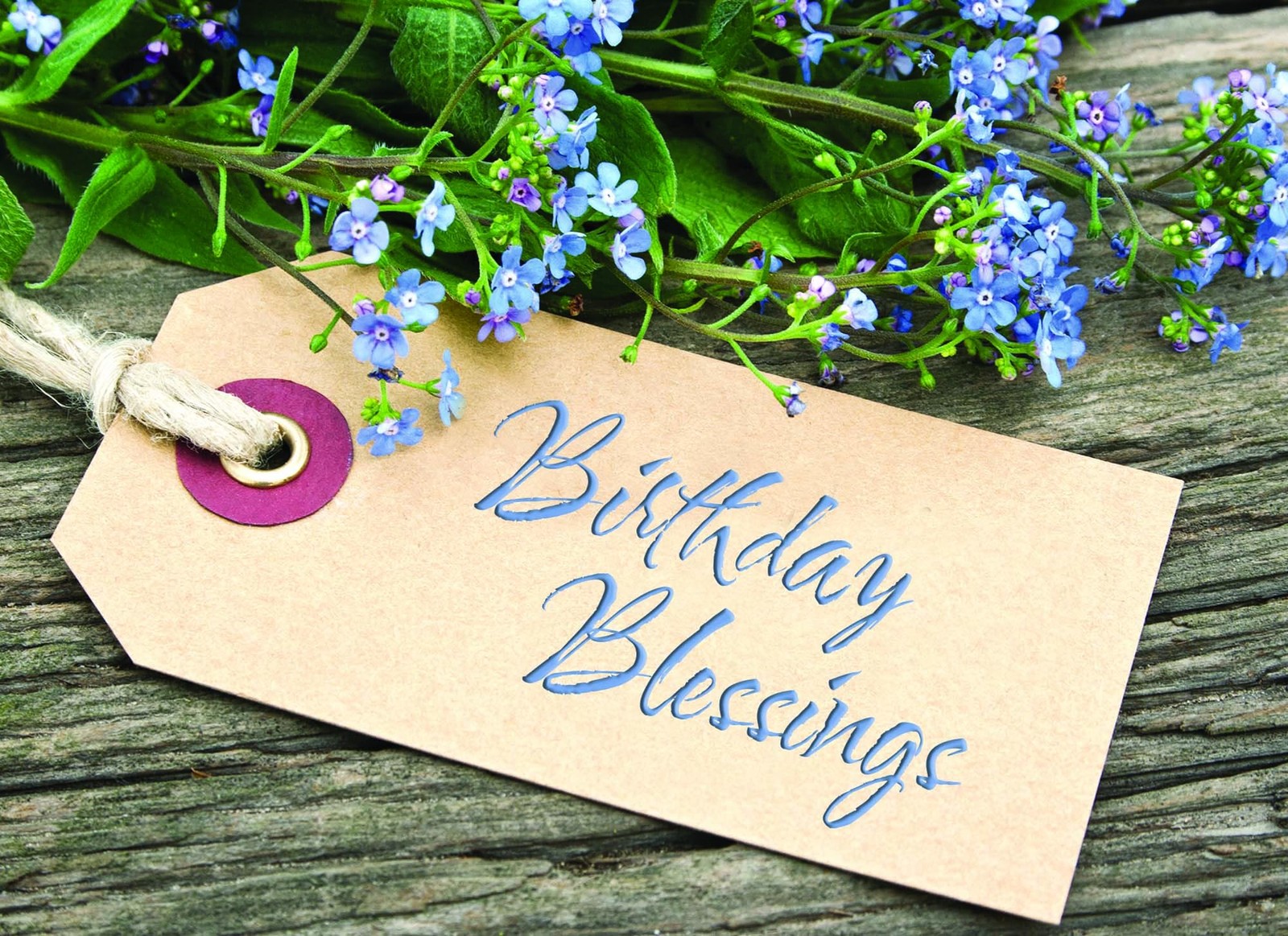 Crown Point Graphics Shared Blessings Floral Tags 12 Boxed Birthday Cards,…