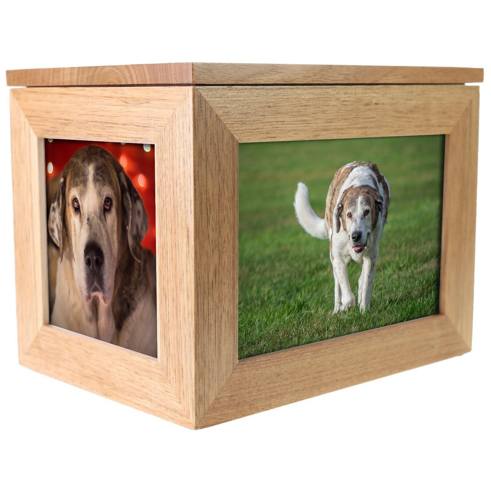 Engraved Deceased Dog & Puppy Large Oak Keepsake Memorial Photo Frame Memory Box