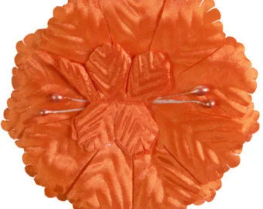 Capia Flowers Flat Carnation Capia Base for Corsages Bulk Wholesale 144 Pieces