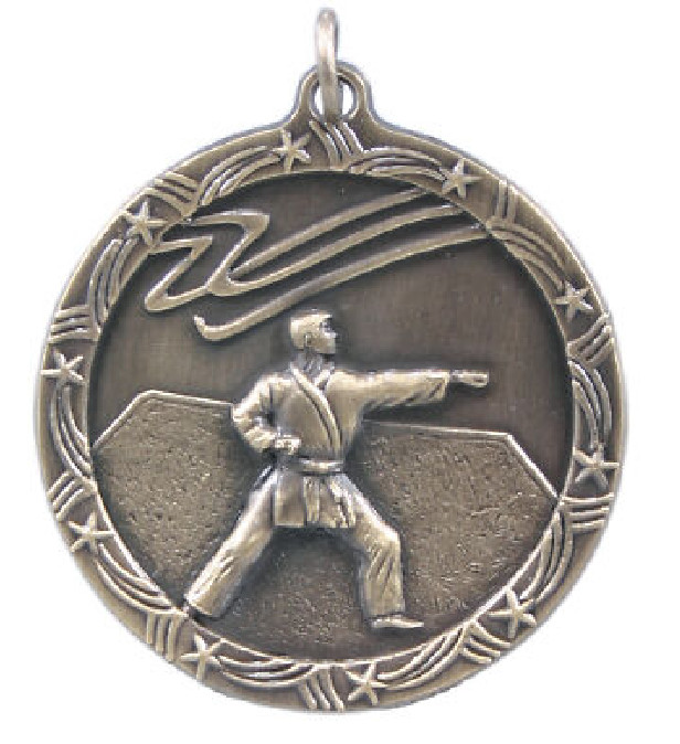 Karate Medal School Team Sport Award Trophy W/ FREE Lanyard FREE SHIP ST17 M142