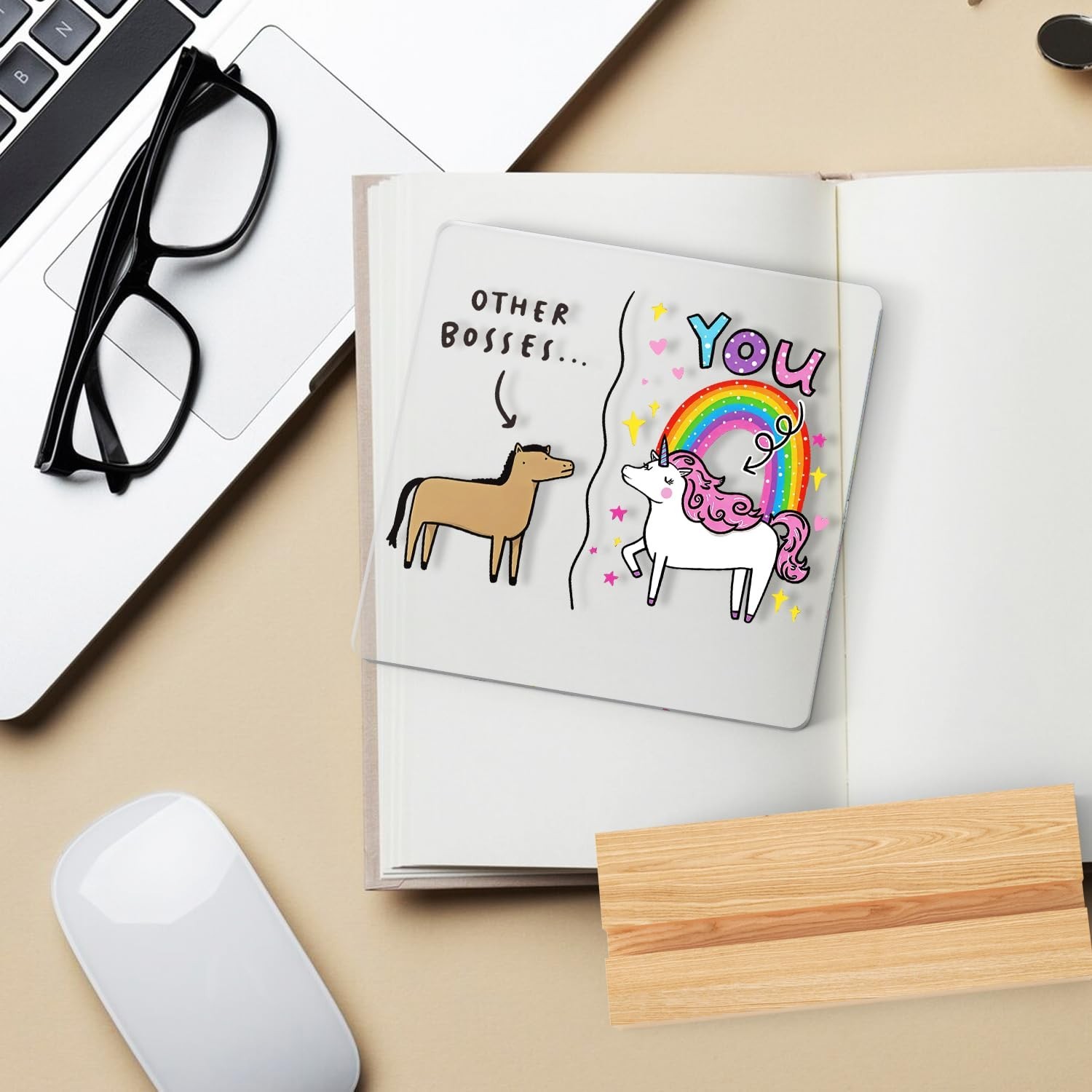 Funny Boss Gifts for Women Men, Other Bosses and You Work Office Gifts for Bo…