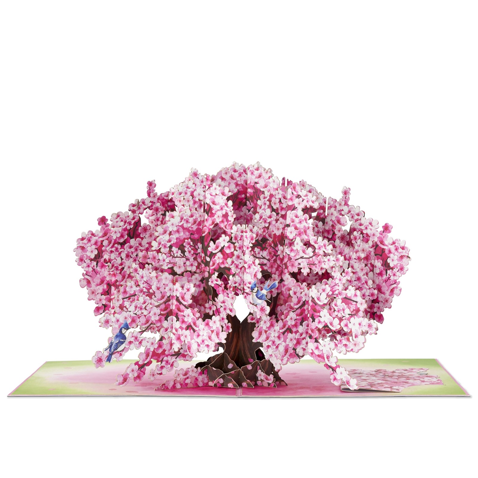 POPWOW Bonsai Cherry Pop Up Cards, Blue Bird, 3D Greeting 5×7″,