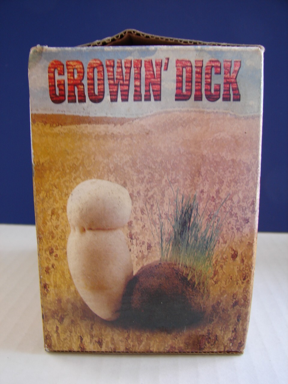 Novelty Funny GROW A PENIS HAIRY PRAIRE Adults Bachelor 2000 PIPEDREAM PRODUCTS