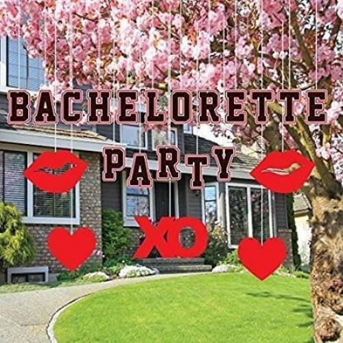 Bachelorette Party Lawn Decorations (indoor/outdoor) – Bachelorette – FREE SHIPP