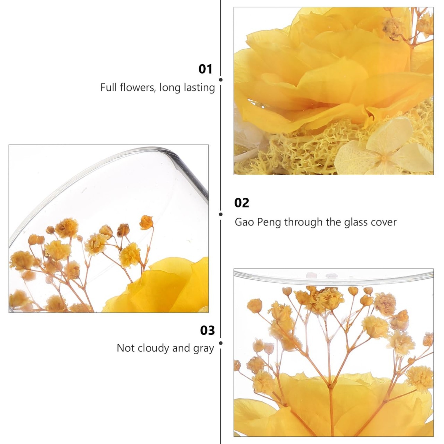 DOITOOL Eternal Rose in Glass Dome Immortal Flower for Women, Forever Flower …
