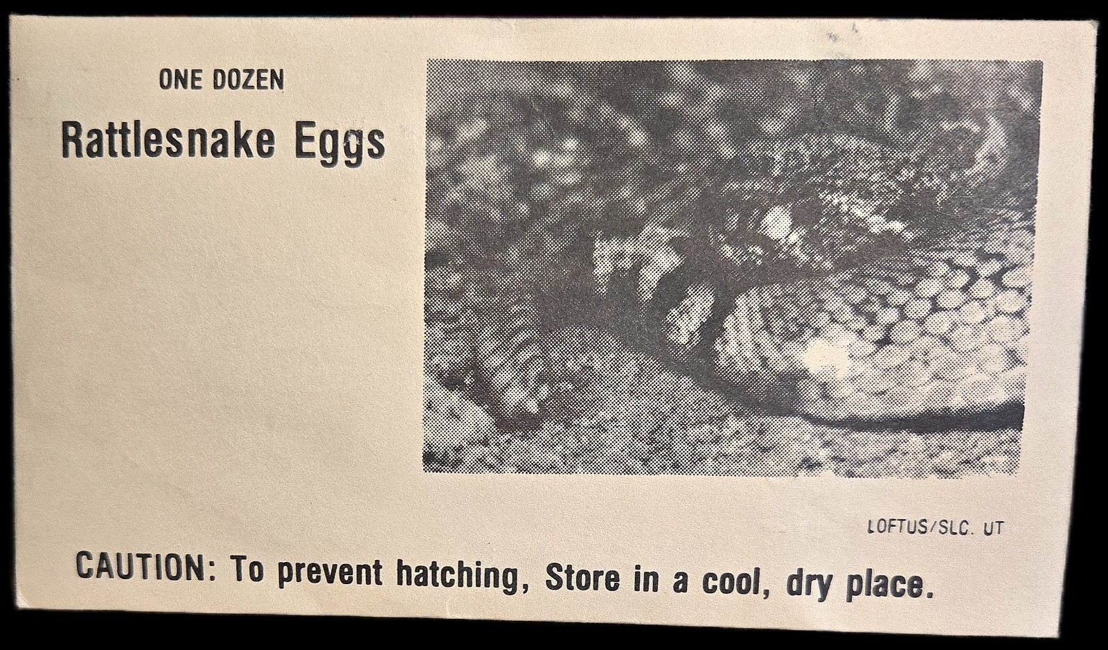 1 RATTLESNAKE EGGS PRANK ENVELOPE ~ Joke Gag Gift Magic Trick Fun!