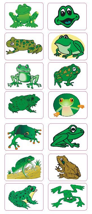 Cartoon Frog Labels Stickers Decals CRAFTS Teachers SCHOOLS Made In The USA #D64