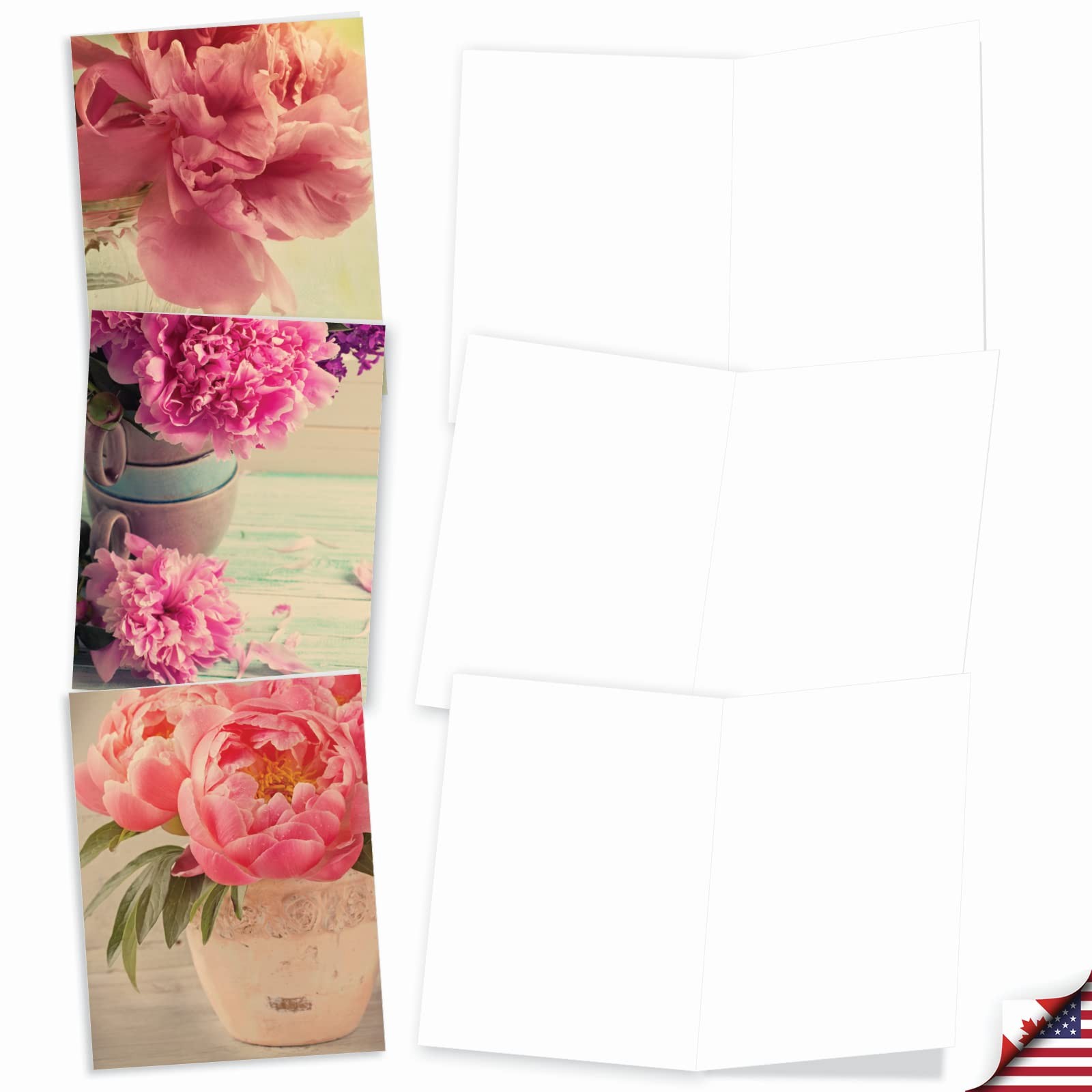 Best Card Co Blank Note 10 Assorted Cards (M6553OCB), Multicolor
