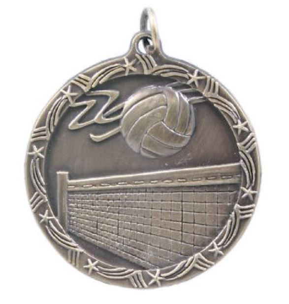 Volleyball Medal School Team Sport Award Trophy W/ FREE Lanyard FREE SHIP M149