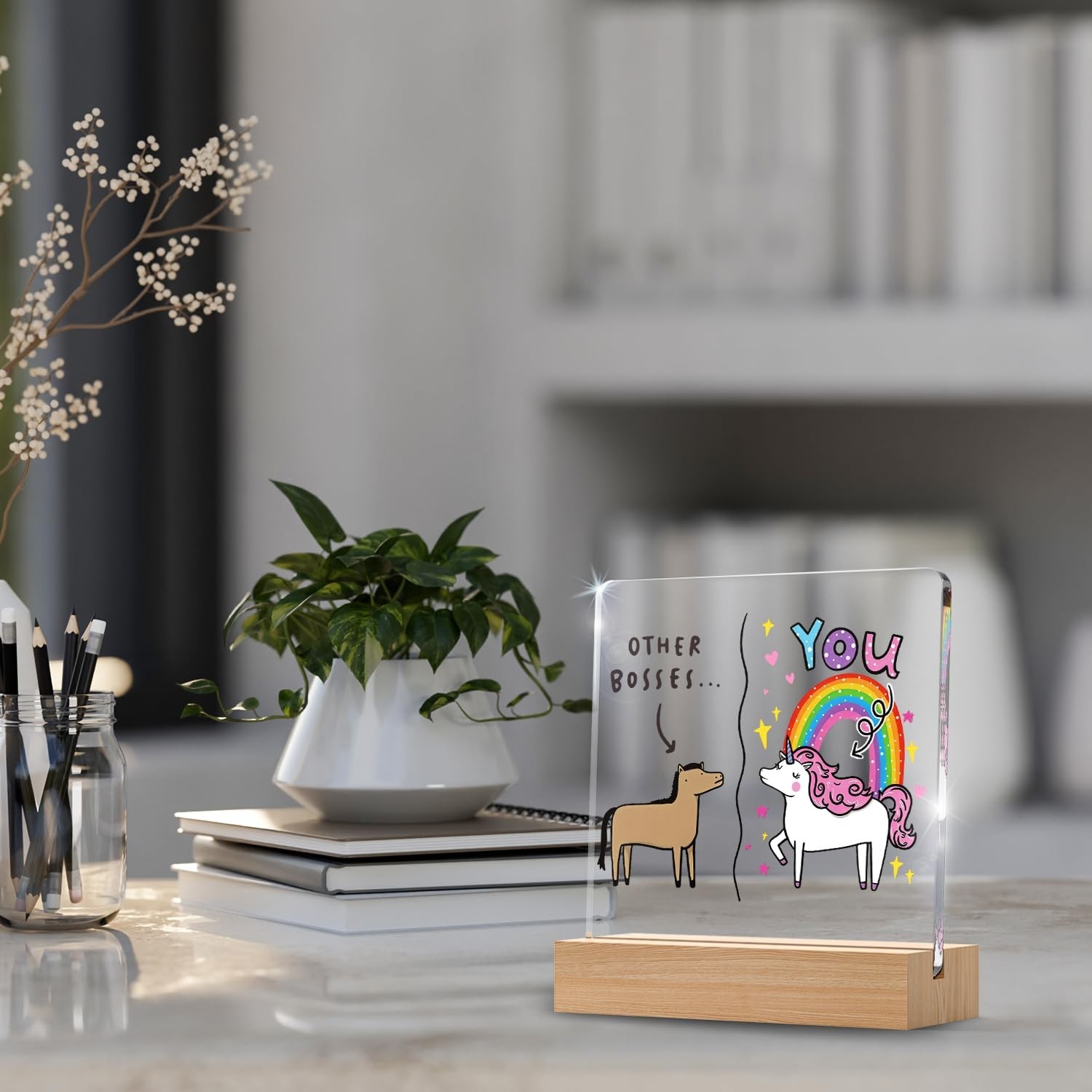 Funny Boss Gifts for Women Men, Other Bosses and You Work Office Gifts for Bo…