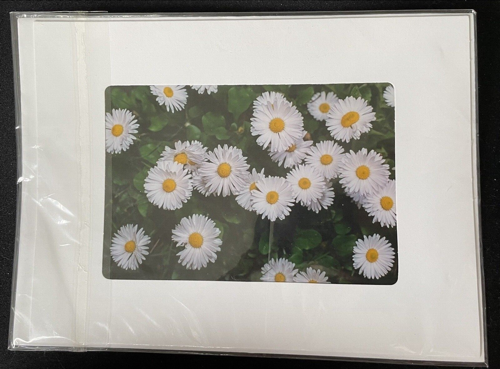 NEW End of Year Teacher Gift: small plaque mason jar light flower blank notecard