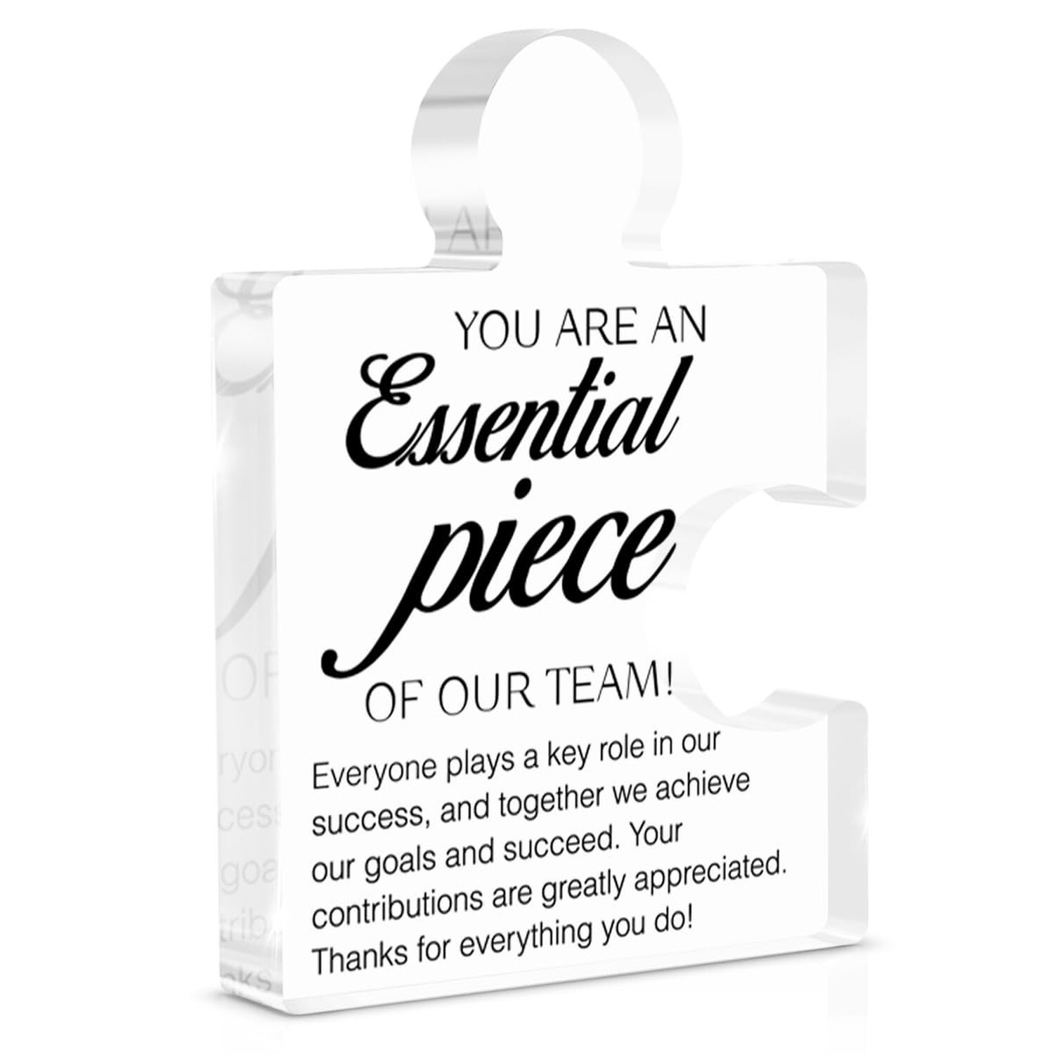 Team Appreciation Gifts Thank You Gift for Coworkers Colleagues Employees, Be…