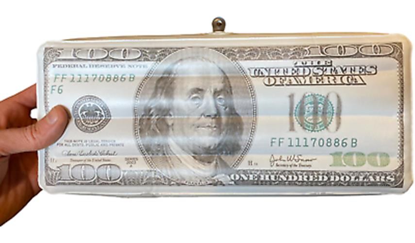 2 Jumbo Inflatable $100 Hundred Dollar Money Bills ~ Party Gag Joke Toy Favors