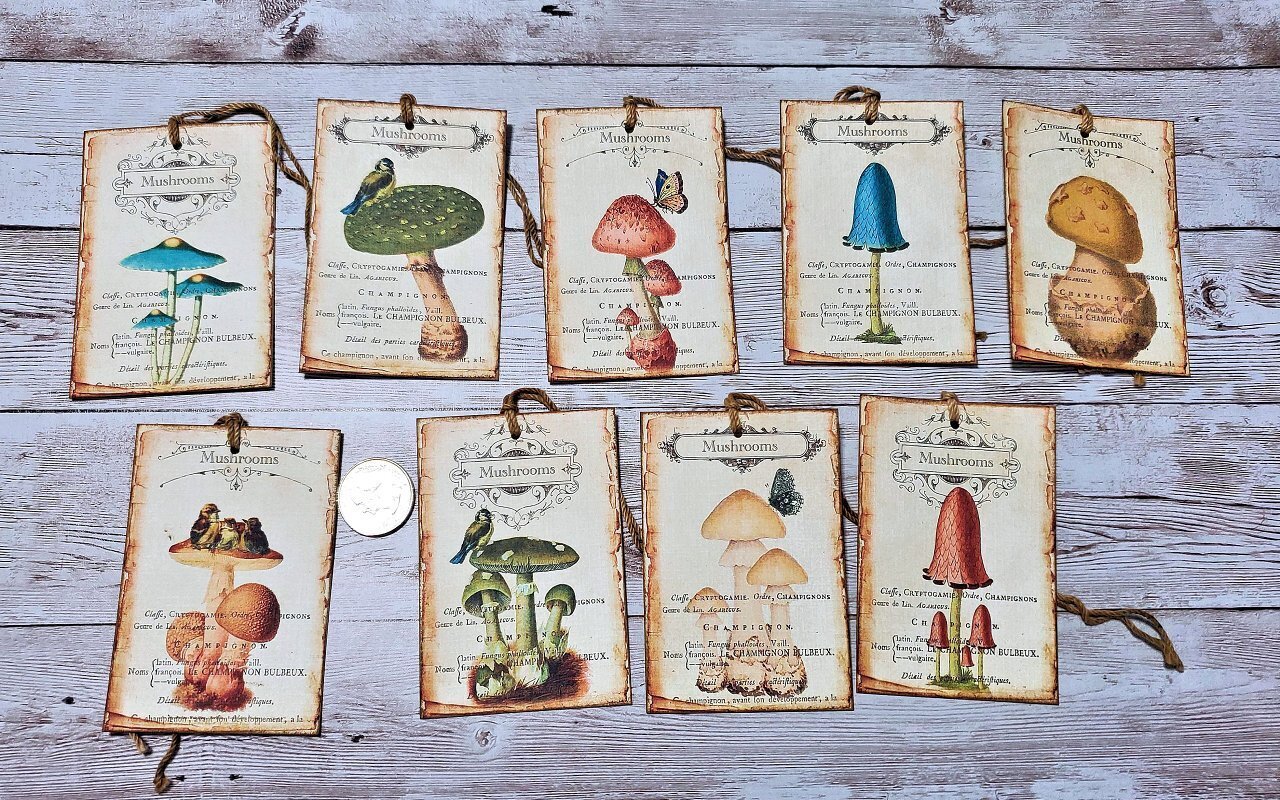 9~Vintage~Ephemera~Mushrooms~Junk Journal~Linen Cardstock~Gift~Hang~Tags