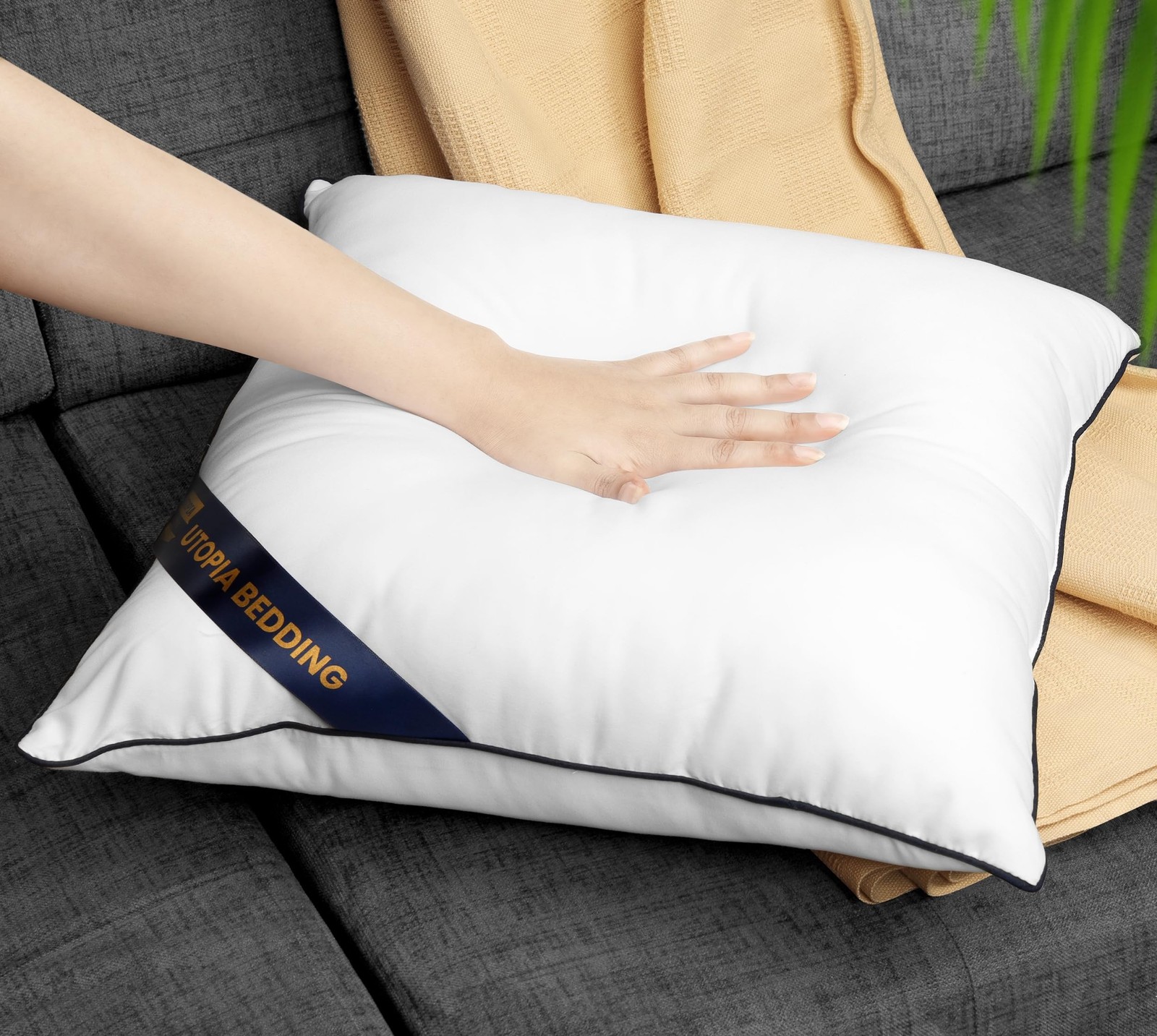 Utopia Bedding Throw Pillow Inserts (Pack of 2, White), 22 x 22 Inches Decora…