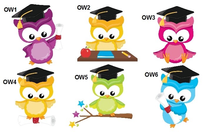 10 Graduation Owl Personalized Water Bottle Label Wrapper Favors Stickers