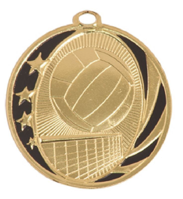 Volleyball Medal Award Trophy With Free Lanyard MS711 School Team Sports