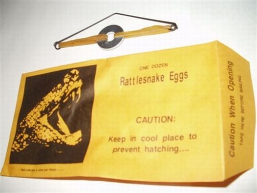 (3) RATTLESNAKE EGG PRANK ENVELOPES – Funny Joke Gag Noise Maker Trick