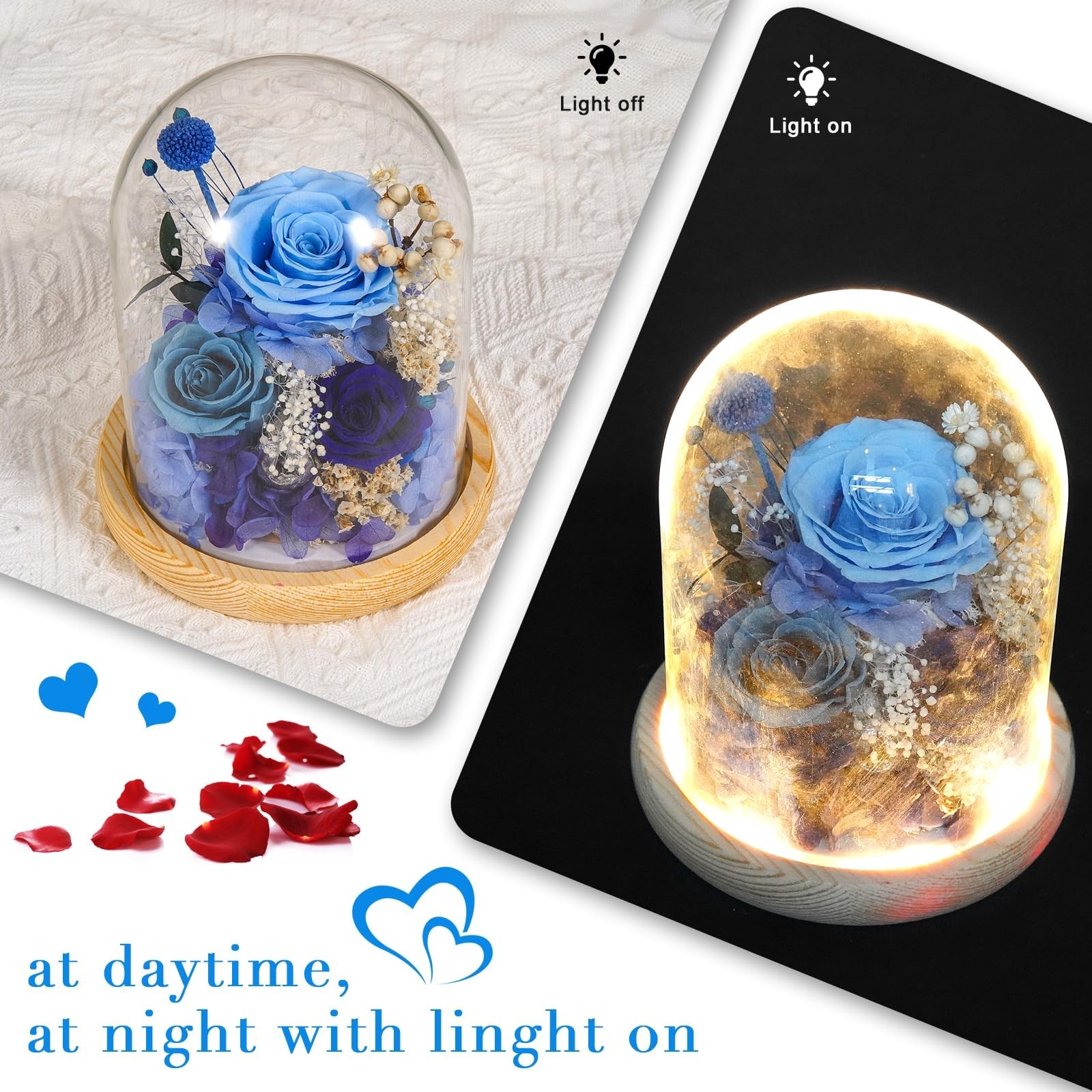 3-Tone Preserved Rose in Glass Dome with LED Lights – Eternal Roses Flower w/…