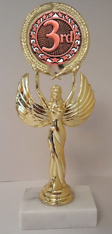 3rd Place Trophy 8-1/4″ Tall AS LOW AS $3.99 each FREE SHIPPING T05N15
