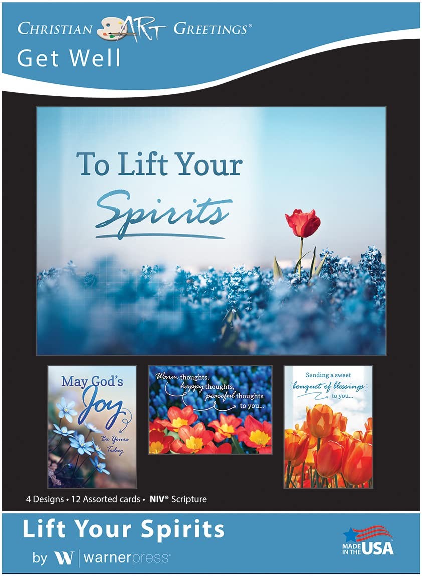 Lift Your Spirits – NIV Scripture Greeting Cards – 12 Count (Pack of 1), blue