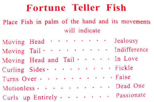 1152 Fortune Teller Miracle Fish – Novelty Party Gift Favor Toys – Wholesale Lot