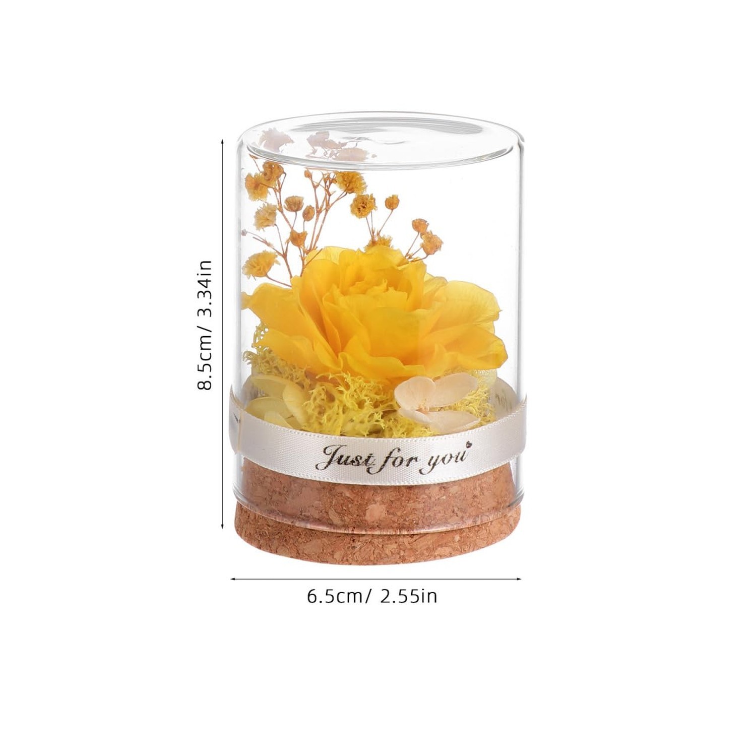DOITOOL Eternal Rose in Glass Dome Immortal Flower for Women, Forever Flower …