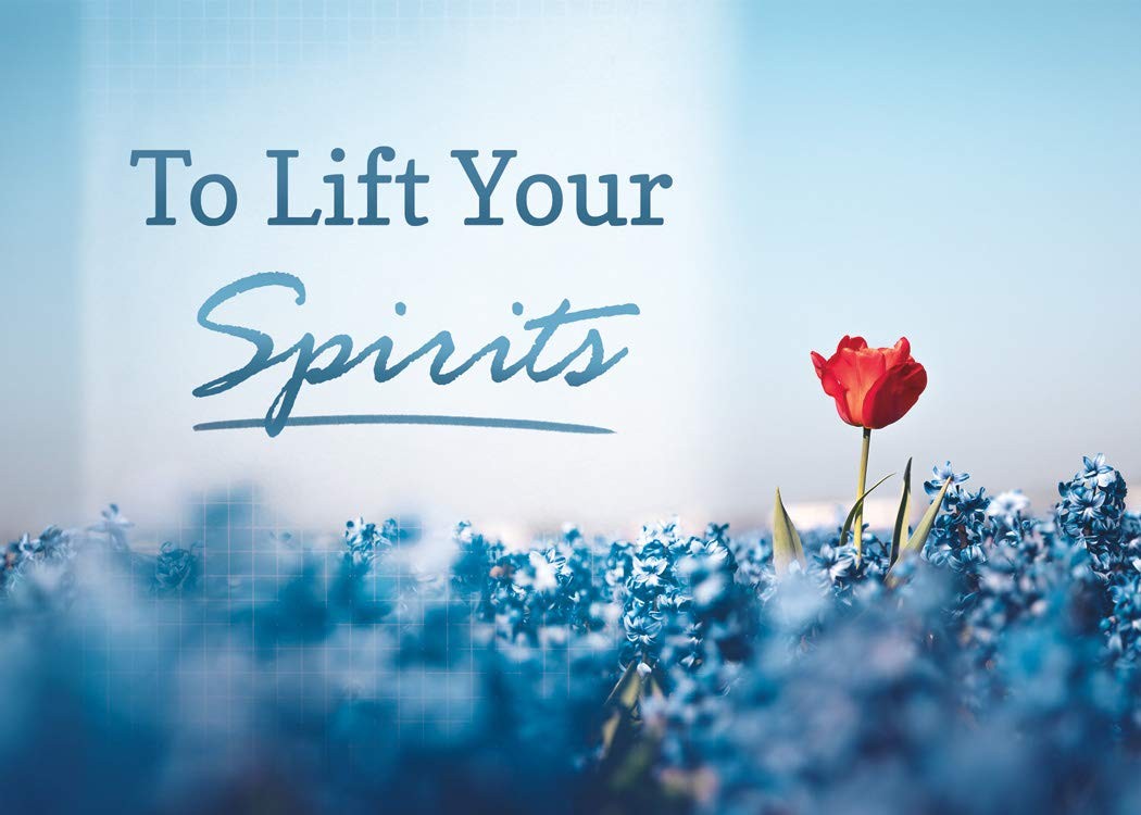 Lift Your Spirits – NIV Scripture Greeting Cards – 12 Count (Pack of 1), blue