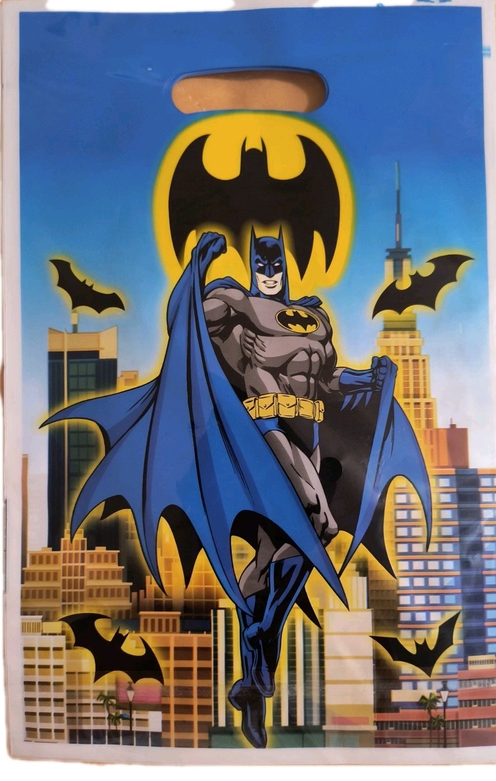 DC Comics Batman Birthday Plastic Loot Bags 10 count New! Free Shipping!