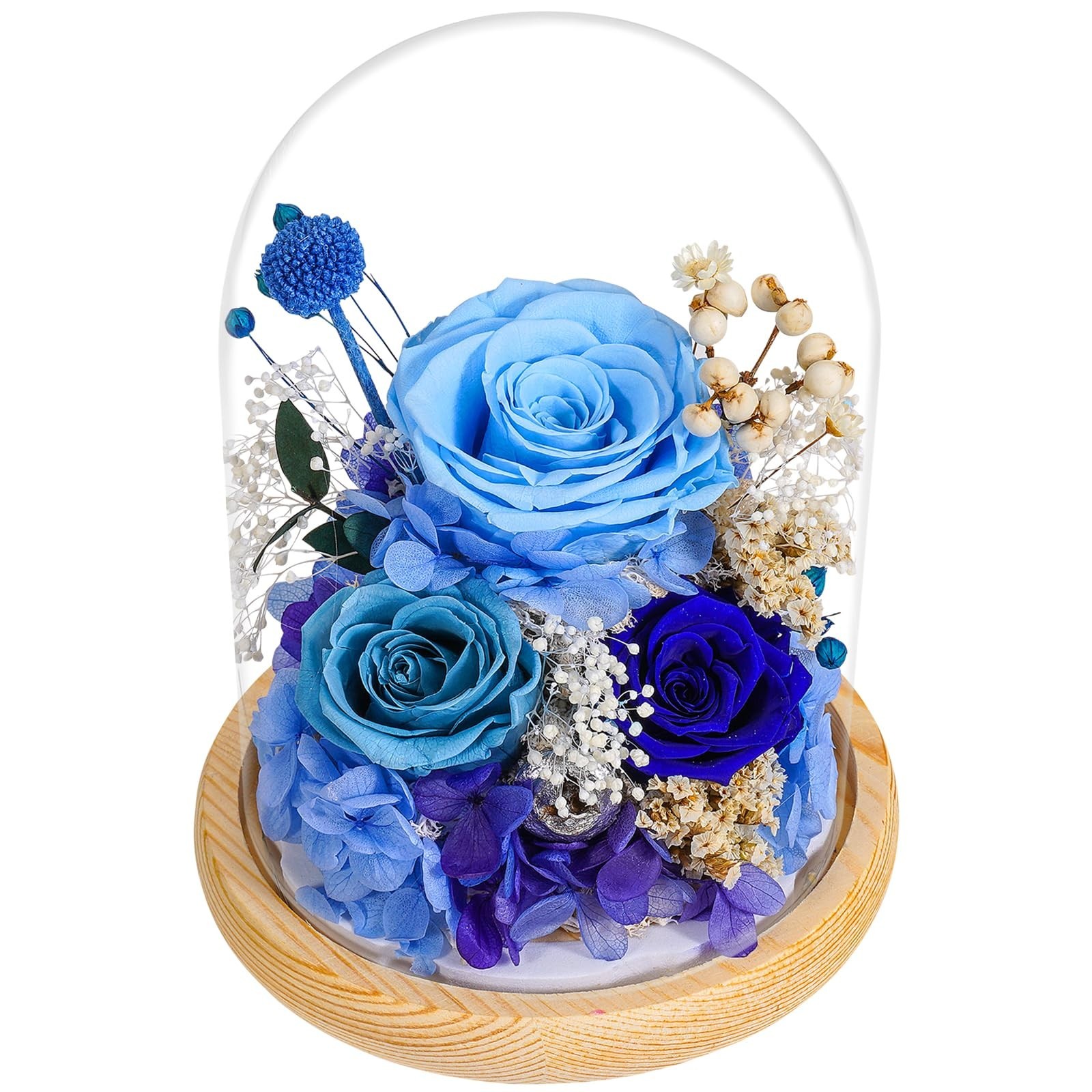 3-Tone Preserved Rose in Glass Dome with LED Lights – Eternal Roses Flower w/…