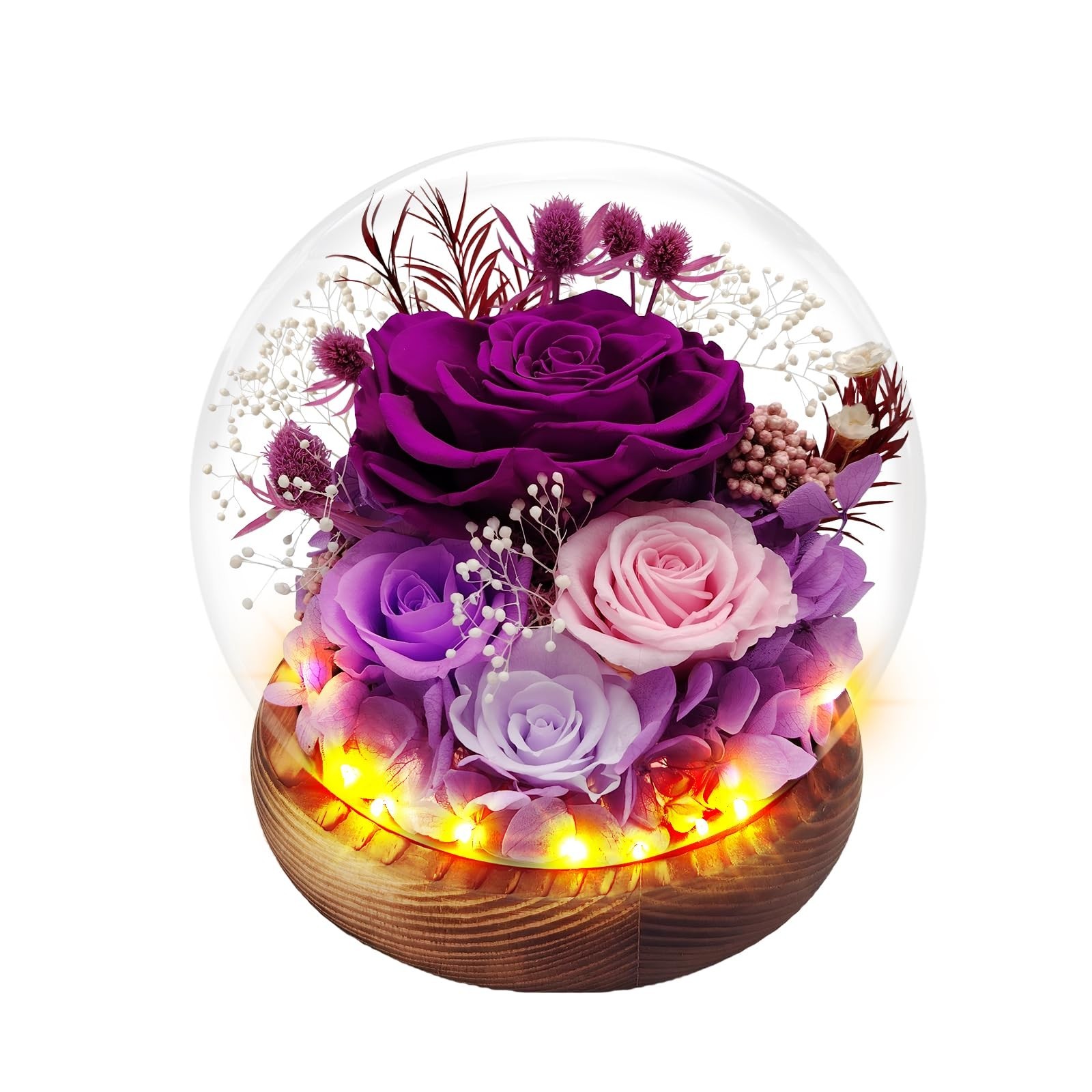 Preserved Rose Forever Flowers in Glass Dome Gifts for Women, Long-Lasting Re…