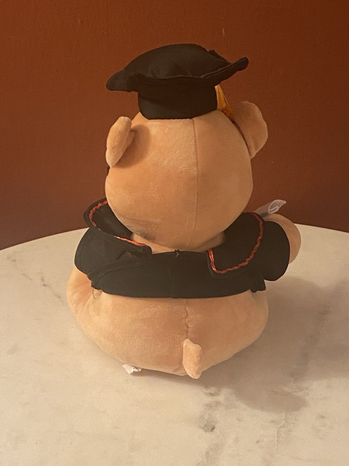 Graduation Teddy Bear Gift Keepsake School College Memories Soft Toy Present