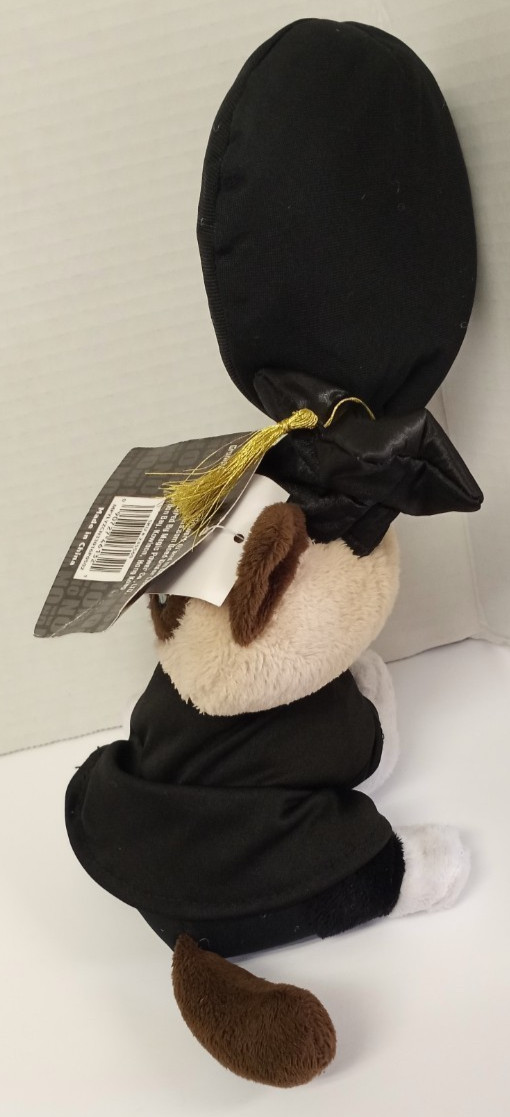 Grumpy Cat Plush Graduate Balloon Congrats Roll of Paper Funny Graduation Gift