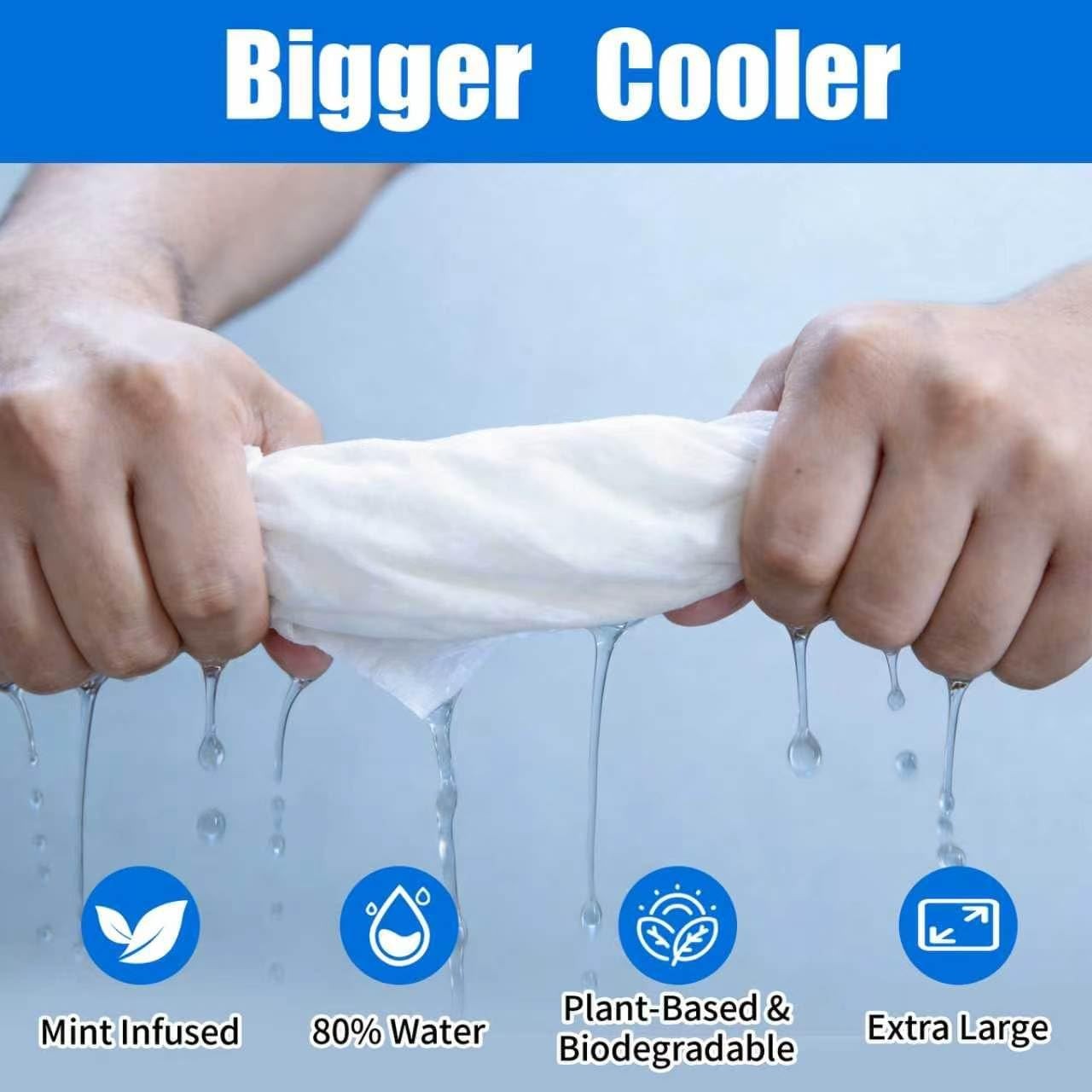 30 Pack Disposable Cooling Wipes, Individually Wrapped No-Rinse Cooling Towel…