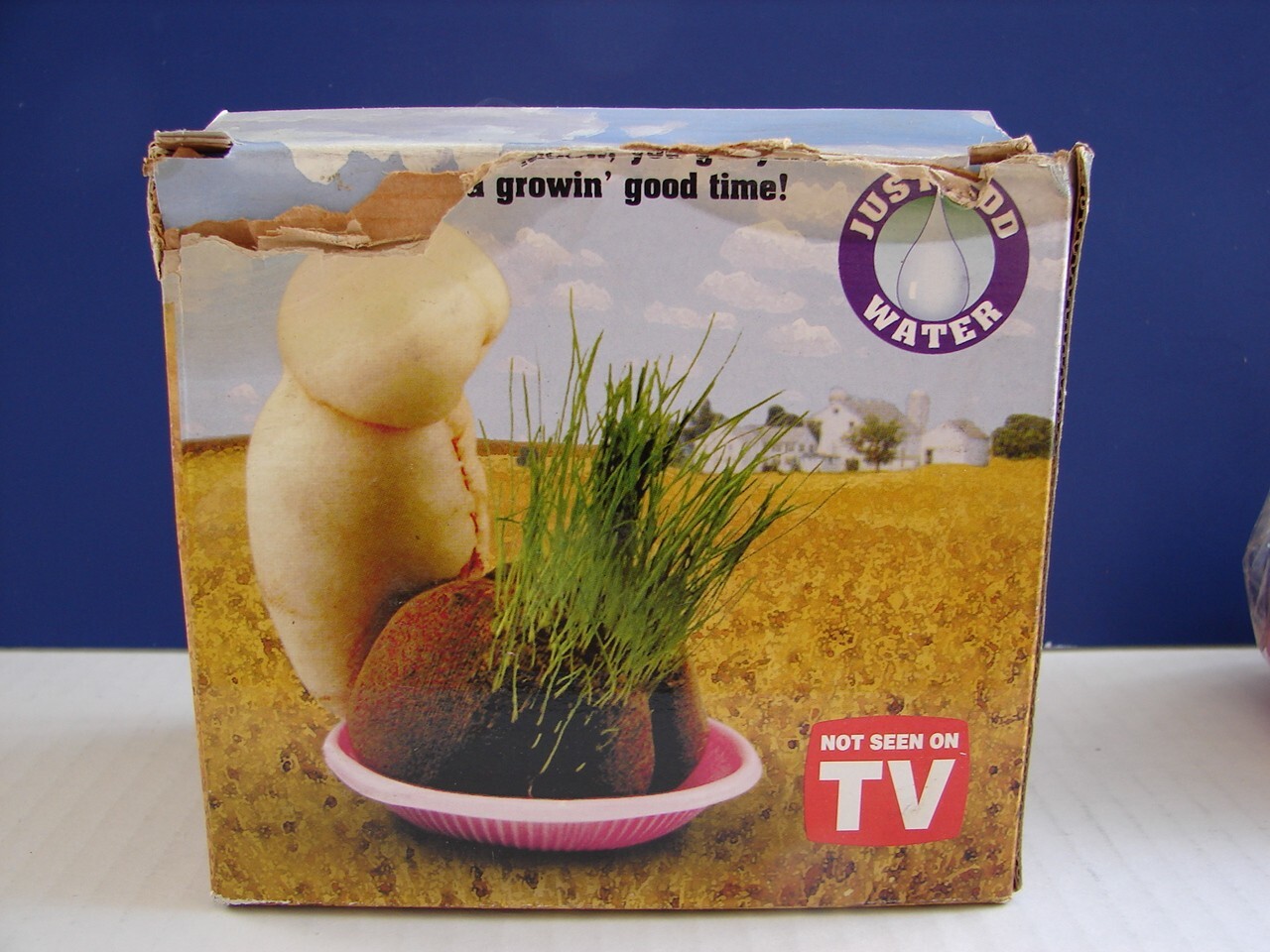Novelty Funny GROW A PENIS HAIRY PRAIRE Adults Bachelor 2000 PIPEDREAM PRODUCTS