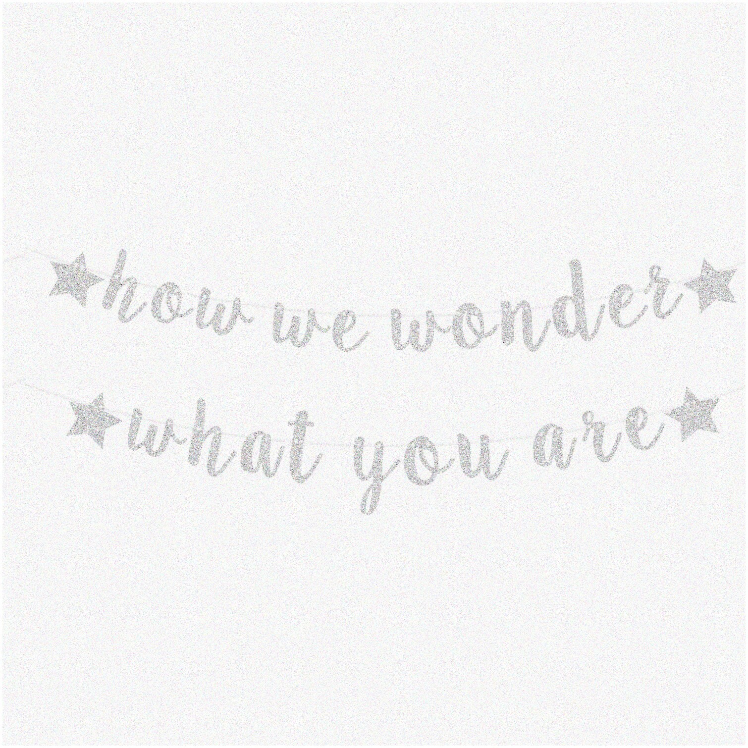 Silver Glitter Gender Reveal Banner