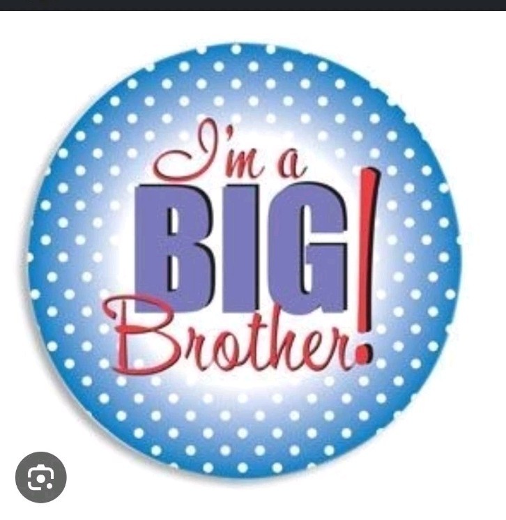 NEW BABY ” I Am A Big Brother” BROTHER PIN IDEAL GIFT FOR OLDER SIBLINGS NWT