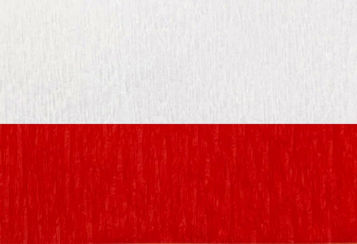 Red and White Crepe Paper Streamers (2 Rolls Each Color) MADE in USA!