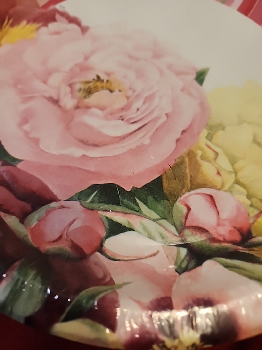 Hallmark Party Express Bastin Peonies Floral Paper Plates 8 Pack 8 and 3/4 Inch