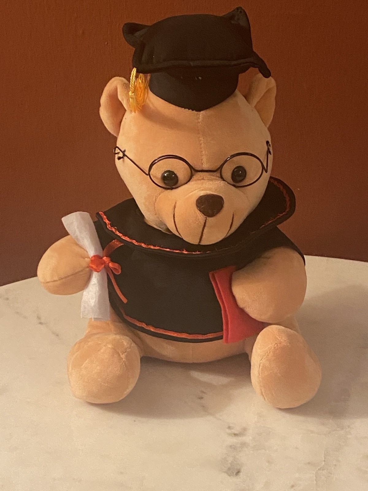 Graduation Teddy Bear Gift Keepsake School College Memories Soft Toy Present