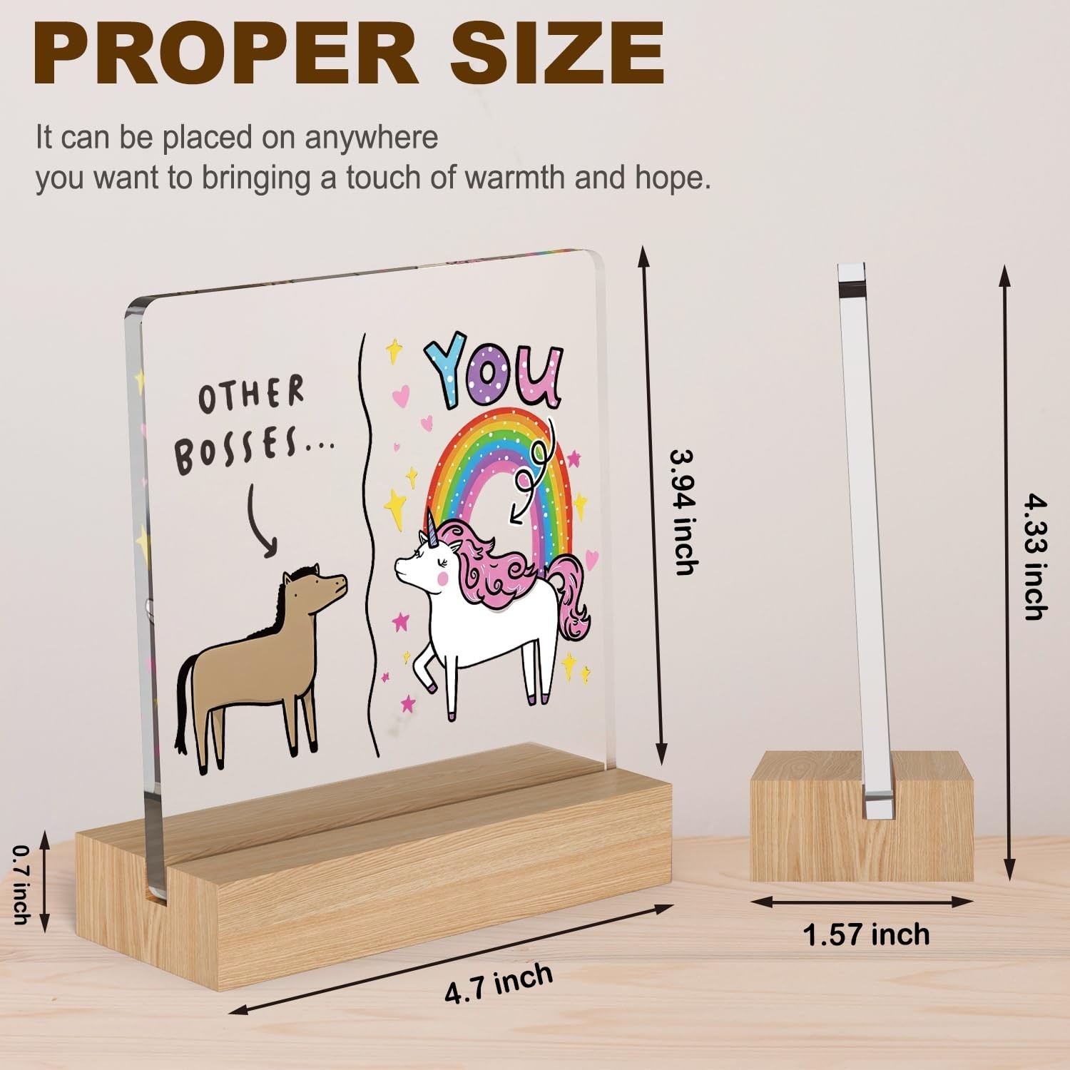 Funny Boss Gifts for Women Men, Other Bosses and You Work Office Gifts for Bo…