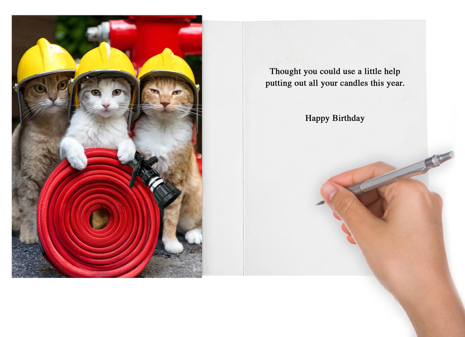 Funny Birthday Card for Women, Men, Friends! Standard 5 x 7″, White Envelope