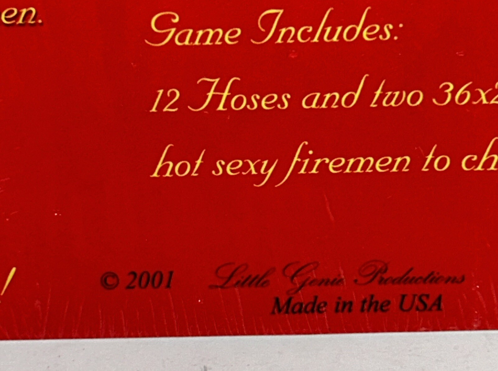 Pin The Hose On The Fireman Bachelorette Bridal Shower Party Game Unused 2001
