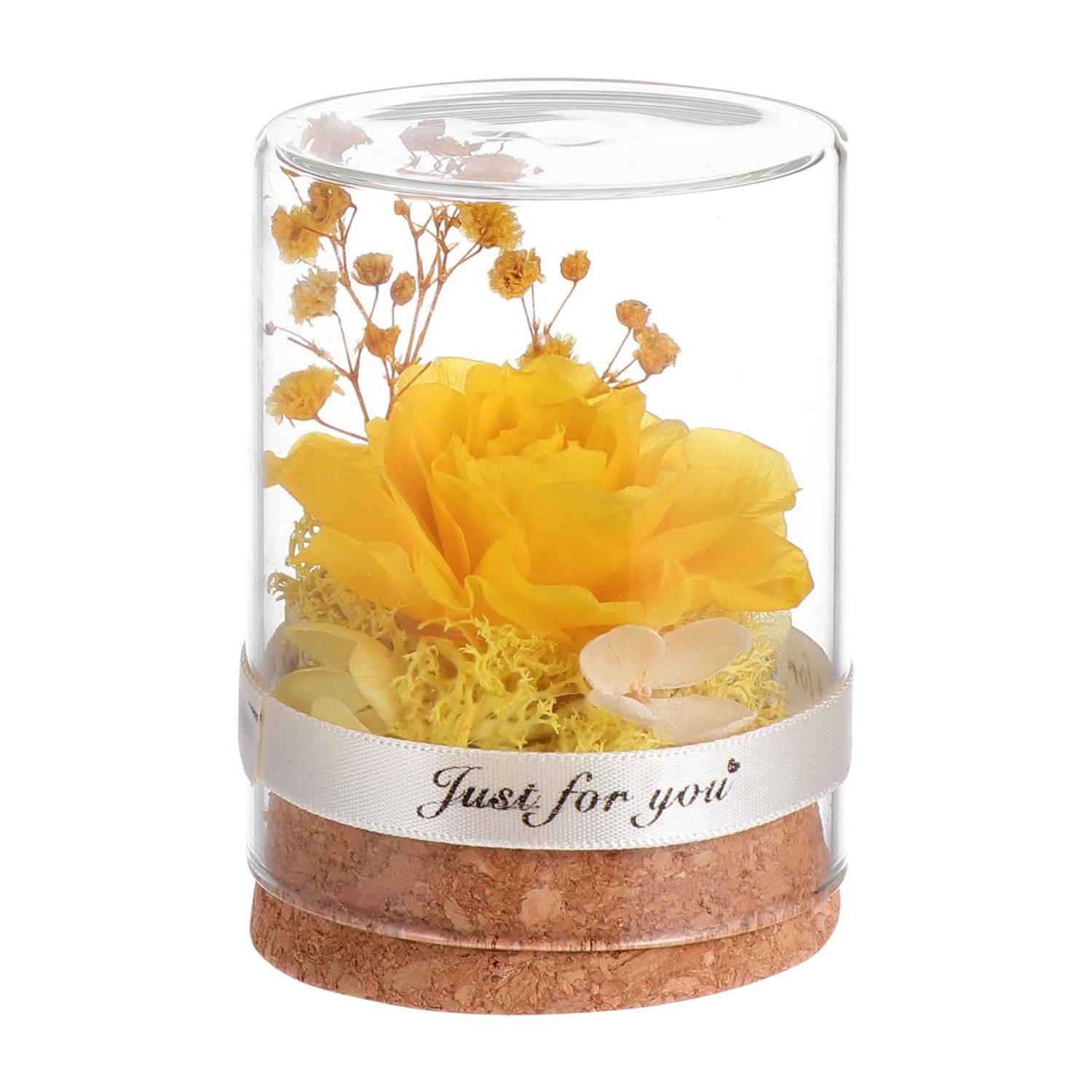 DOITOOL Eternal Rose in Glass Dome Immortal Flower for Women, Forever Flower …