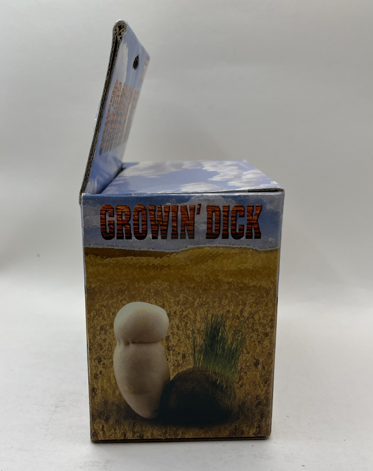 Growin’ Dick • Grow Your Own Hairy Prairie • Bachelorette Novelty Gift • New