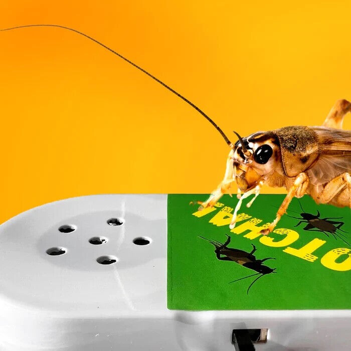 Hide A Bug Cricket Sound Noisemaker – Hilarious GaG Prank Joke Trick Noise Maker