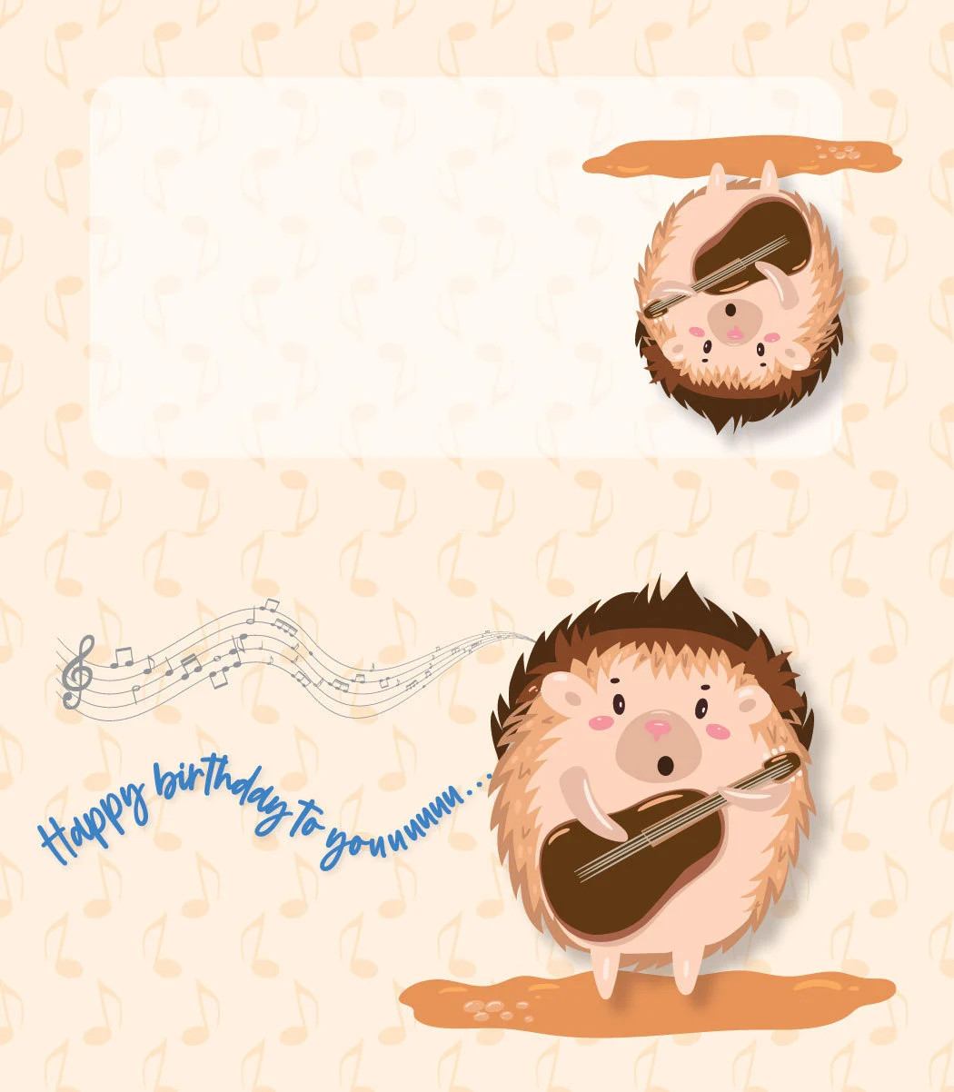 Cute Hedgehog with Guitar Birthday Place Cards – 25 Place Cards – B77572